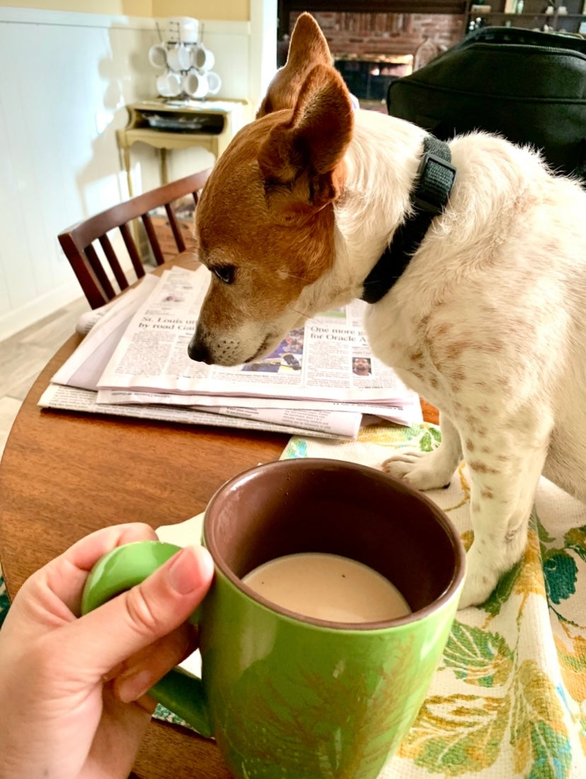 Award-Winning Coffee in Arkansas
