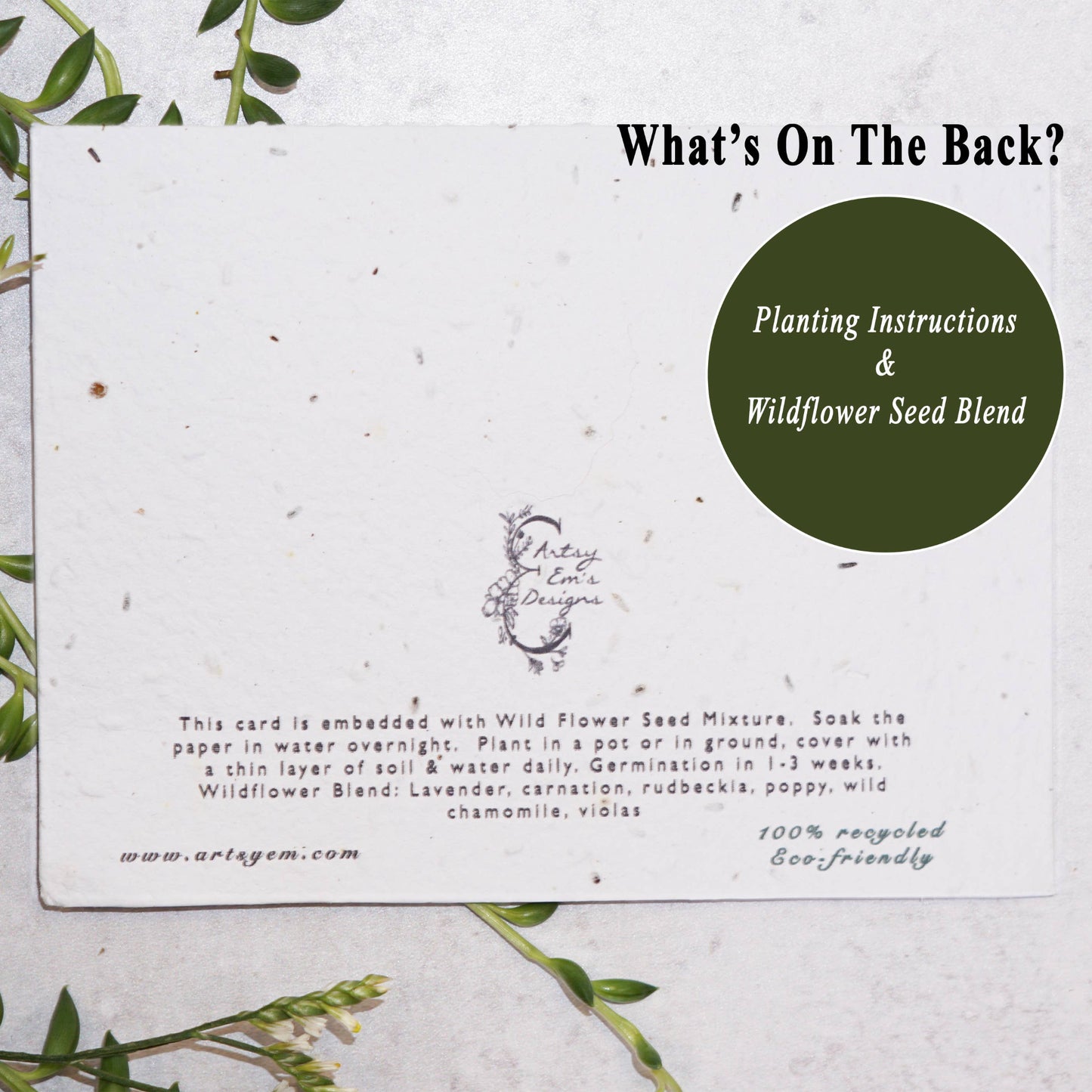 Celebrate the joyous occasion of a wedding with our exquisite hand-designed “Champagne Toast” wildflower seed paper card. This unique card features a beautiful image of a bride and groom toasting champagne glasses, symbolizing love and unity. Once the recipient has enjoyed the heartfelt message inside, they can plant the card in soil and watch as a vibrant garden of wildflowers blooms.