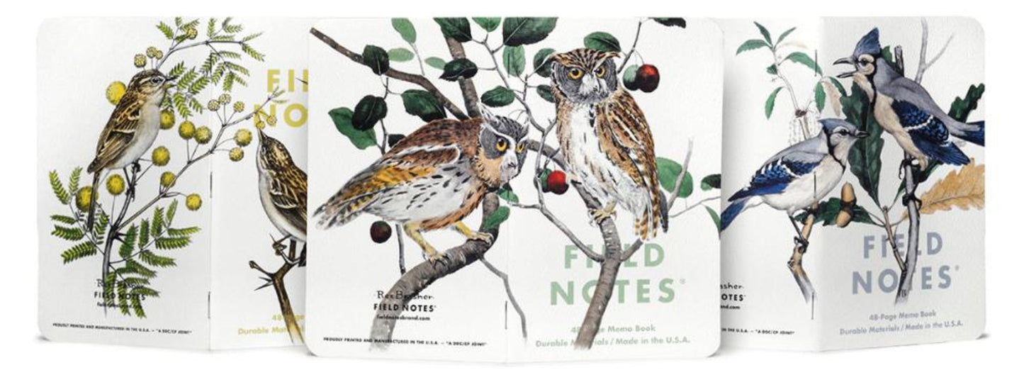 Our 64th Quarterly Edition is “The Birds and Trees of North America” Edition, featuring the artwork of Rex Brasher (1869–1960). We’ve added a third 3-Pack to the series and are restocked with the original two.