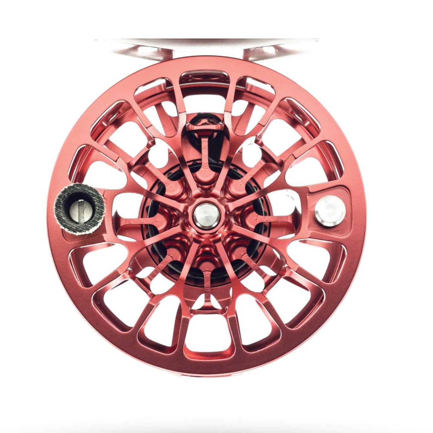 TU Rainbow Animas 4/5 Fly Reel Spool Detail - Hand-Painted Rainbow Trout Spots and Ultra-Light Canvas Phenolic Handle