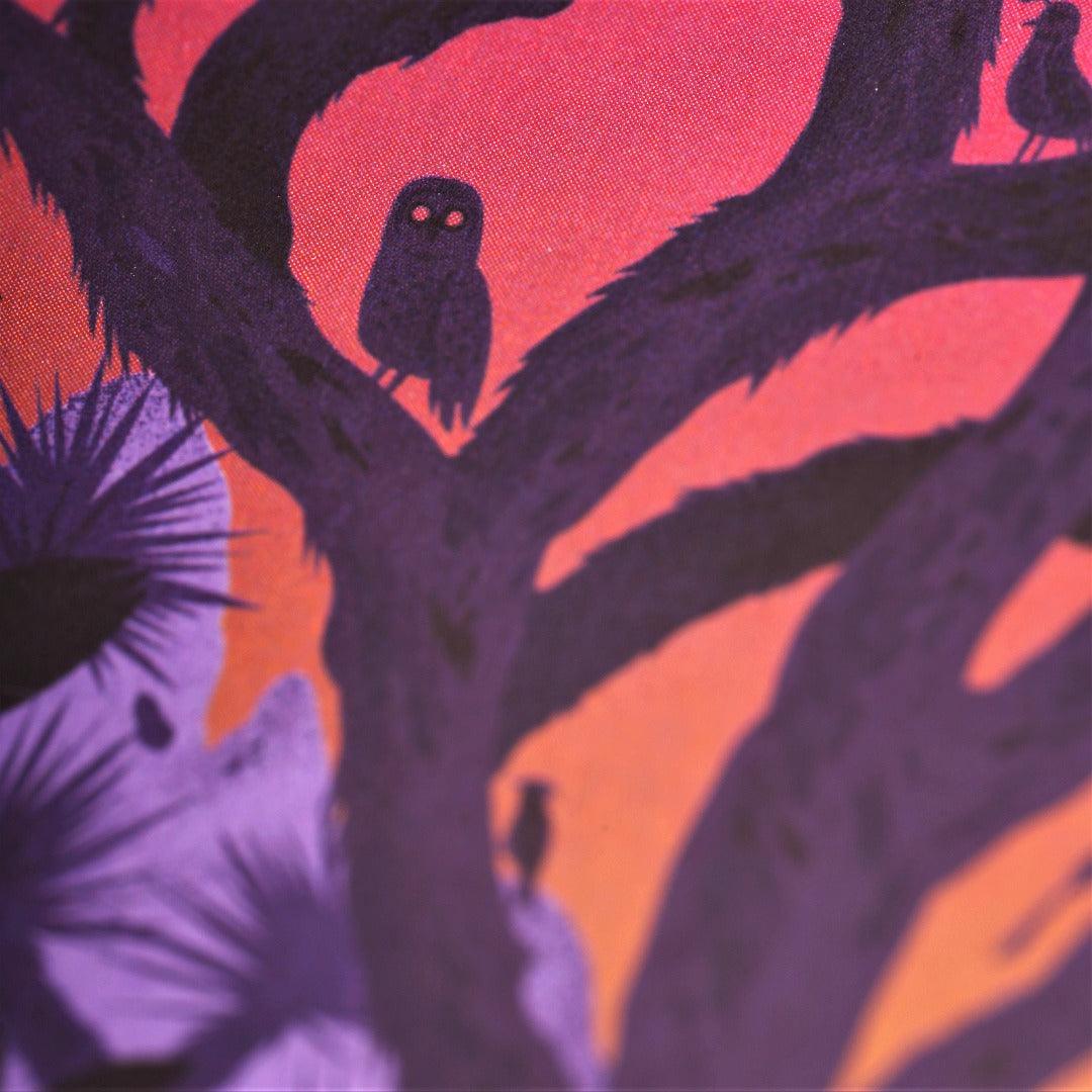 National Parks Series B 3-Pack - Grand Canyon, Joshua Tree, Mt. Ranier - Fish On! Custom Rods