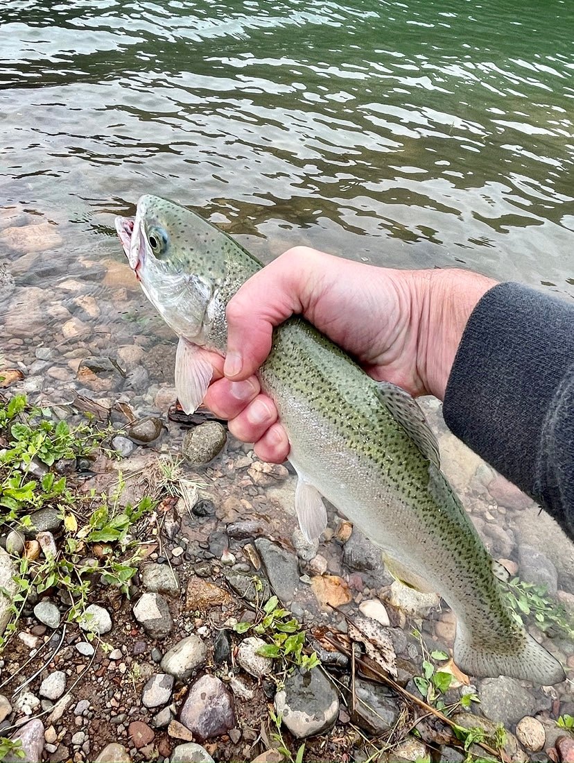 Free Fishing Weekend in Arkansas - Fish On! Custom Rods