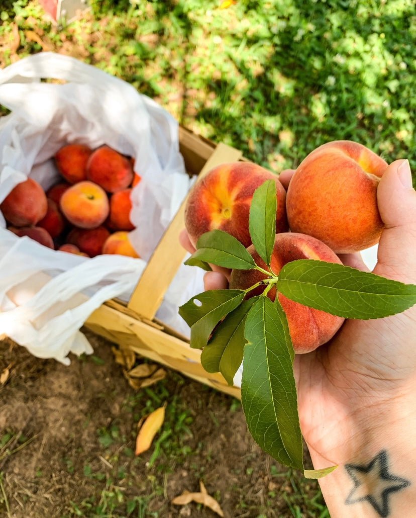 Just Peachy! - A Homemade Peach Ice Cream Recipe - Fish On! Custom Rods