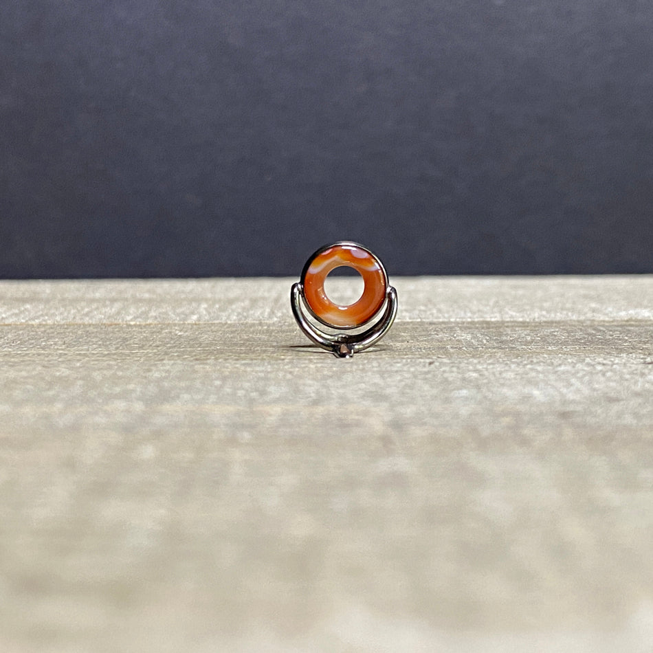 
                  
                    10mm Agate Stripping Guide Black Nickel
                  
                