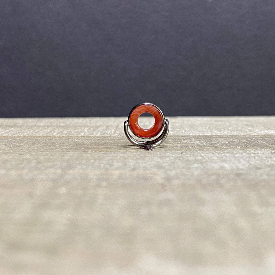 
                  
                    10mm Agate Stripping Guide Black Nickel
                  
                