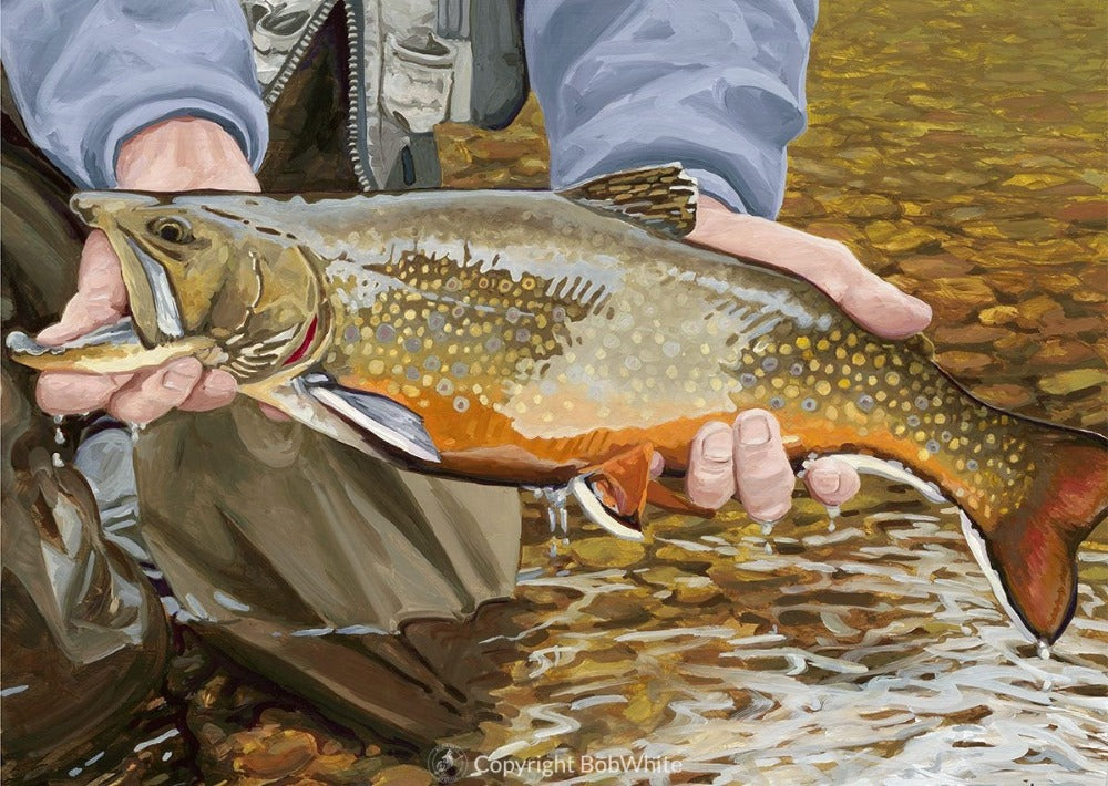 Brook Trout Notecards - Fish On! Custom Rods