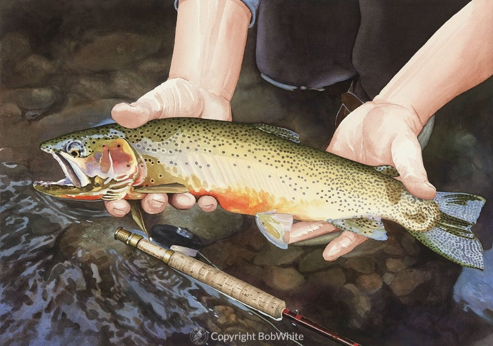 Cutthroat Trout Cards