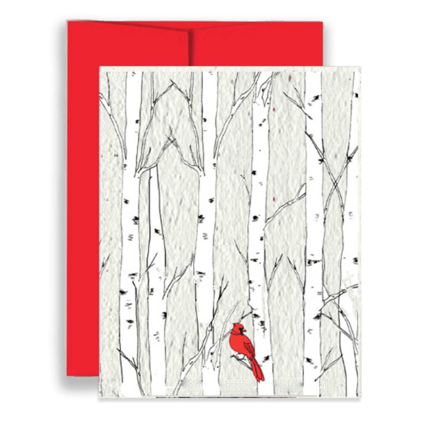Christmas Cardinal Wildflower Seed Paper Greeting Card - Fish On! Custom Rods