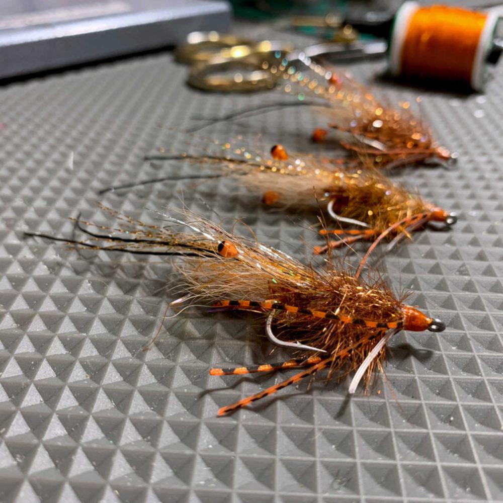 Copper-Top Shrimp