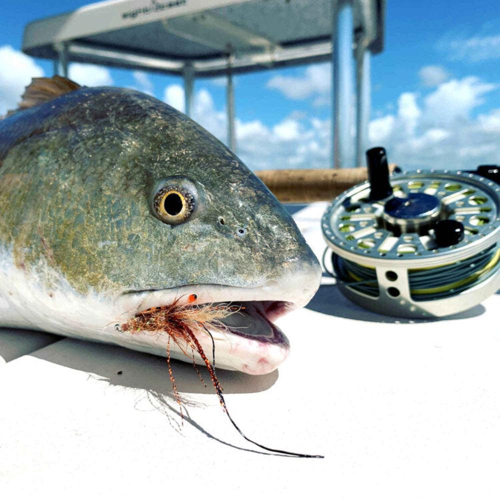 Copper - Top Shrimp - Fish On! Custom Rods