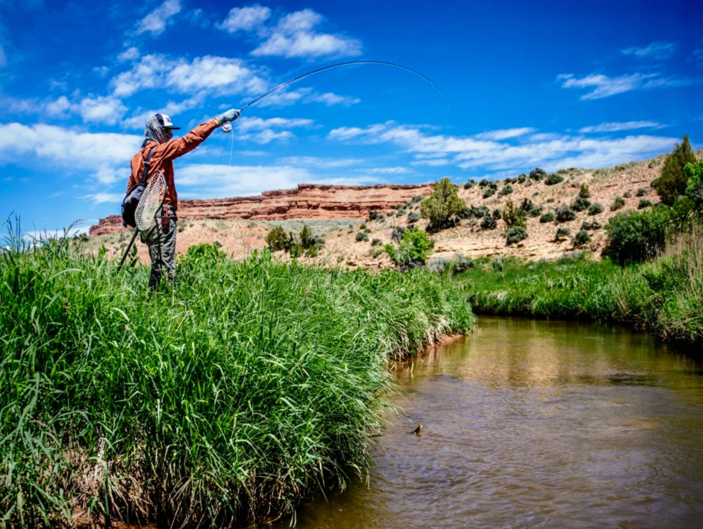 Lotic Fly Rods | Thomas & Thomas Fly Rod Makers - Fish On! Custom Rods