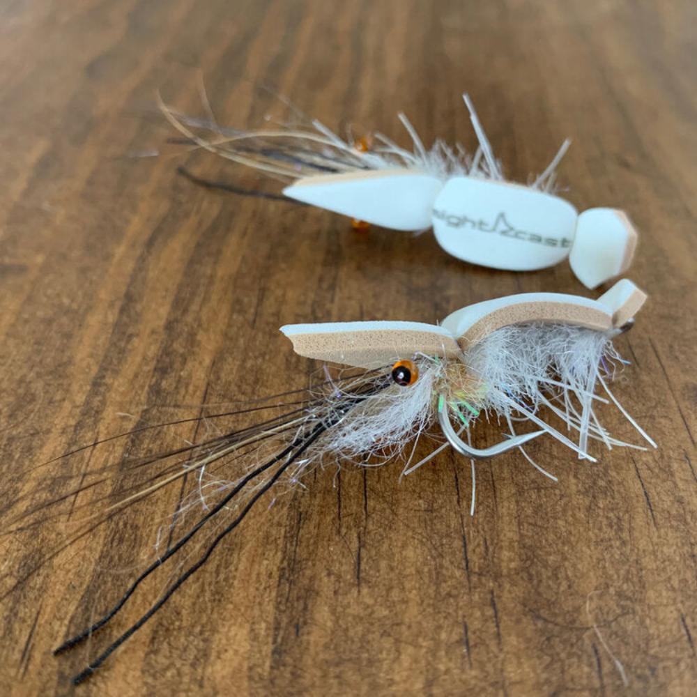 Popcorn Shrimp - Fish On! Custom Rods