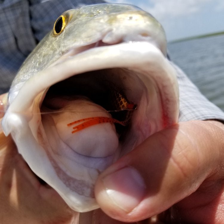 Shrimpadillo - Fish On! Custom Rods