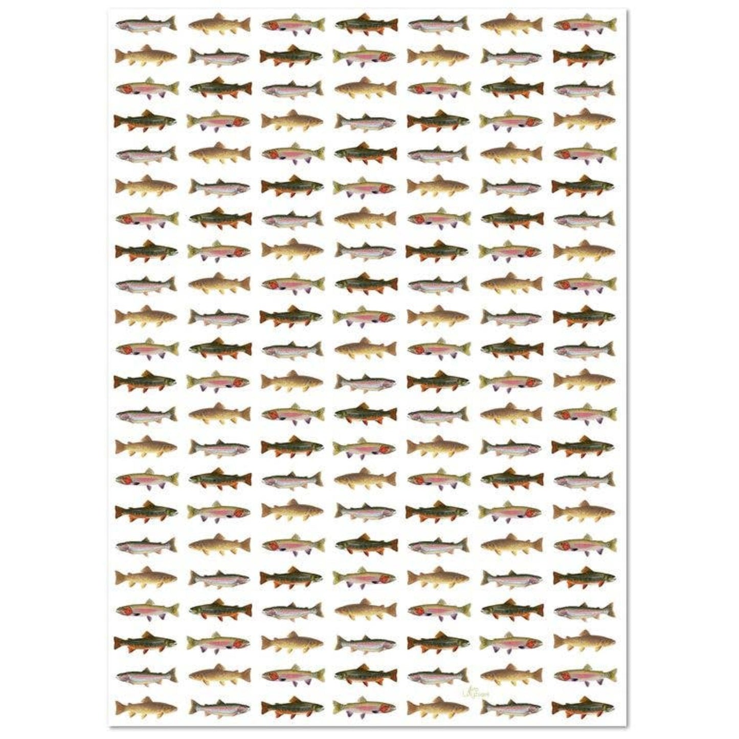 "Trout Wrapping Paper" – A Nature - Inspired Gift Wrap - Fish On! Custom Rods