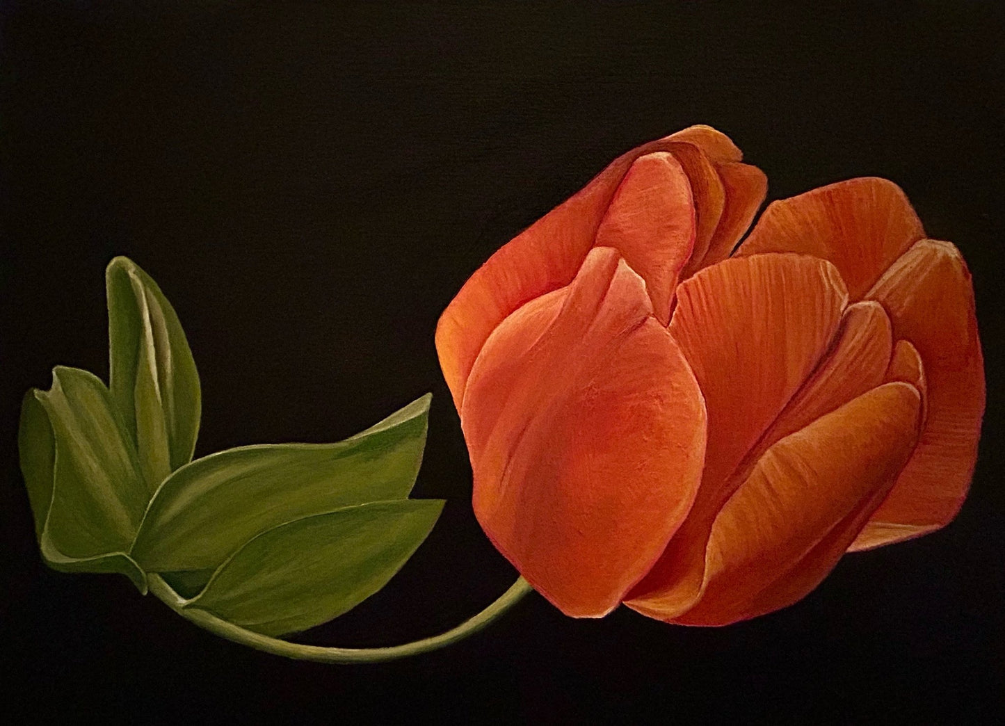 Vibrant Tulip - Fish On! Custom Rods