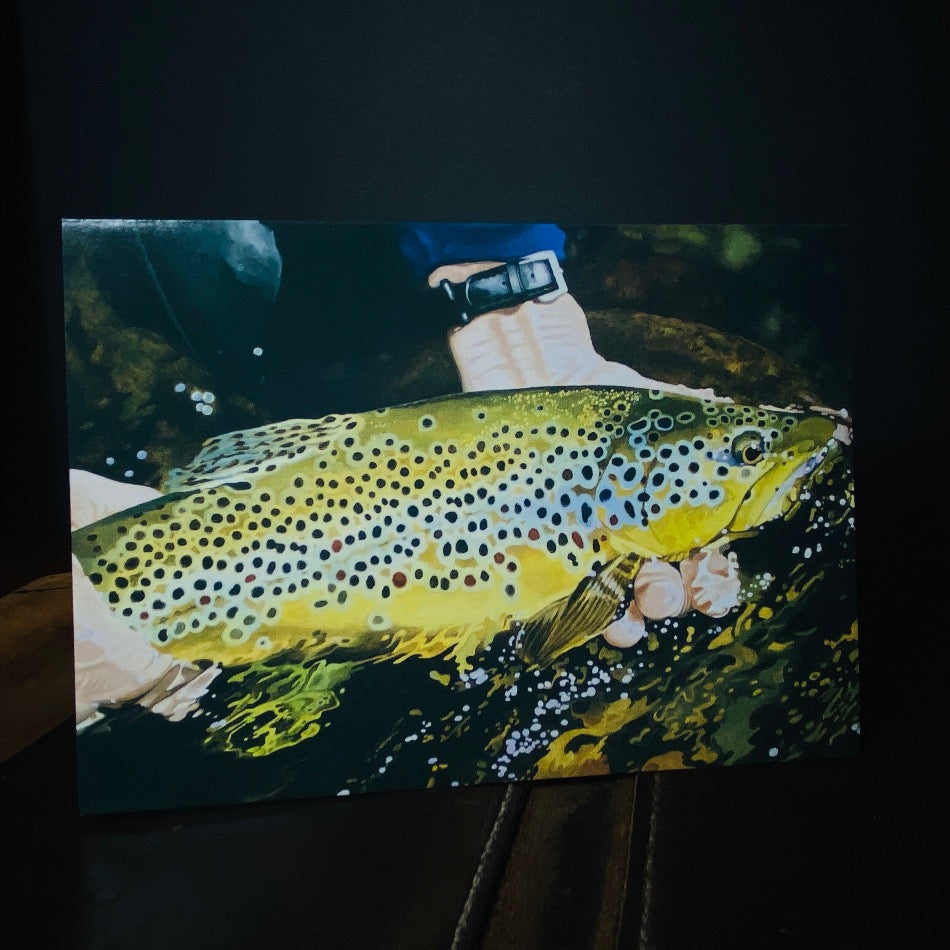 Brown Trout Cards - Fish On! Custom Rods