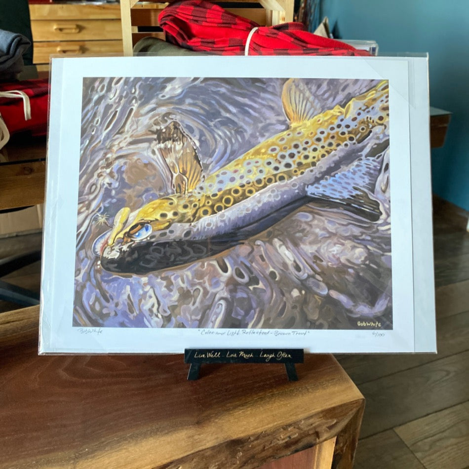 Color and Light Reflected – Brown Trout Print - Fish On! Custom Rods - Fish On! Notecards