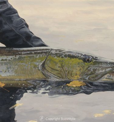 One Last Look – Musky Cards