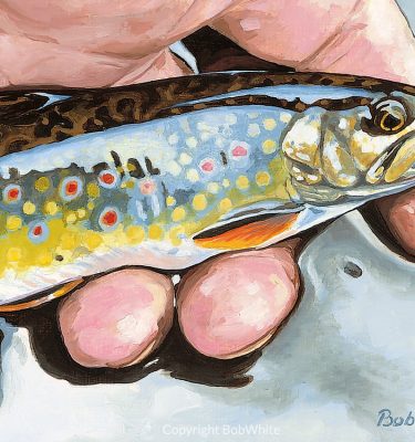 Small Fry – Brook Trout Cards