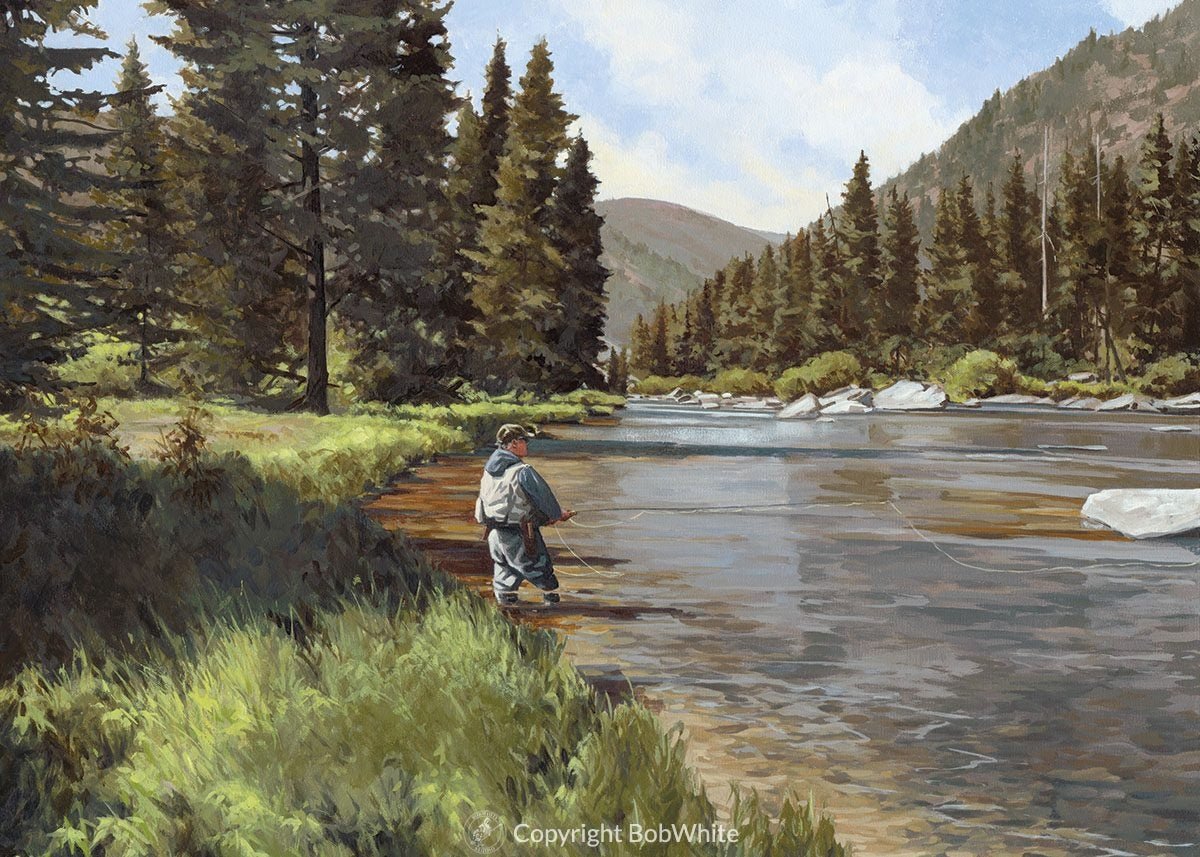 Into the Light Cards - Fish On! Custom Rods